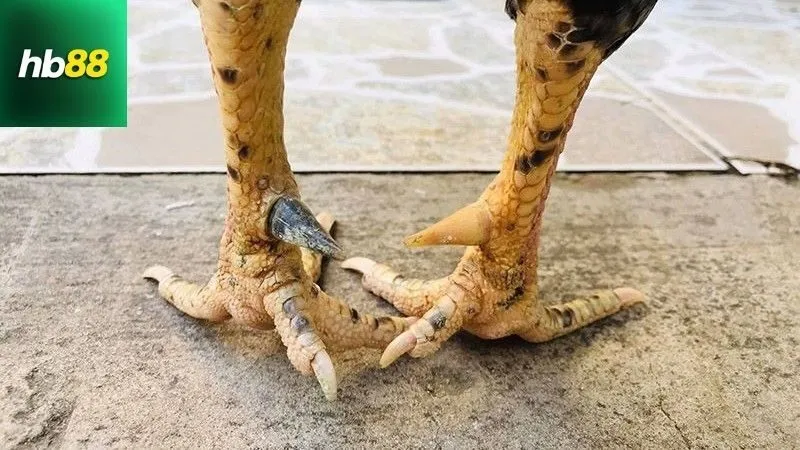 Lưu ý an toàn và xử lý sự cố