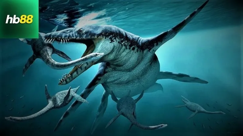 Vua Biển Cả – Chinh Phục Đại Dương, Săn Kho Báu Cực Đỉnh 3 vua-bien-ca